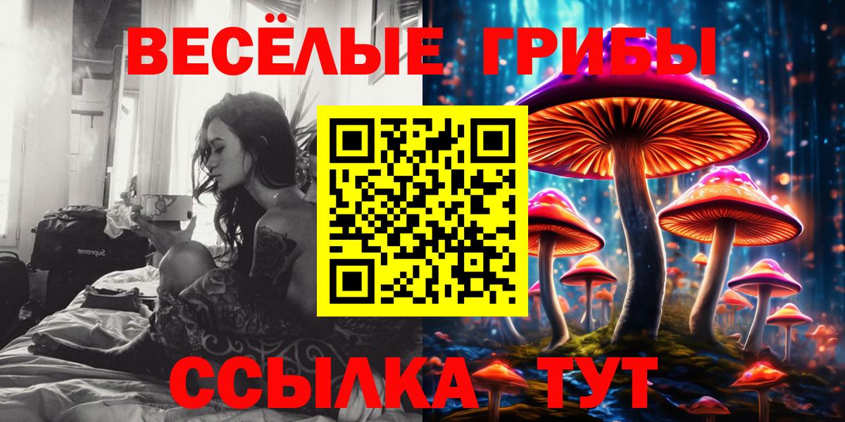 Псилоцибиновые грибы мицелий  Вход с VPN  Коломна  Псилоцибиновые грибы Psilocybe 