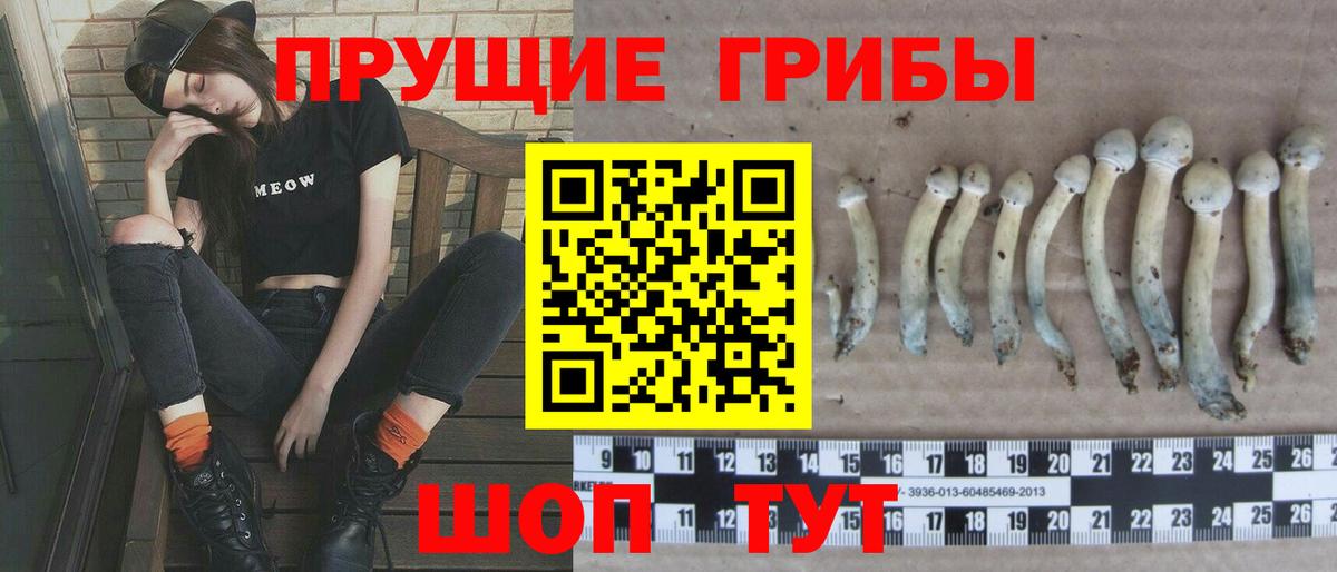 Псилоцибиновые грибы мухоморы Коломна